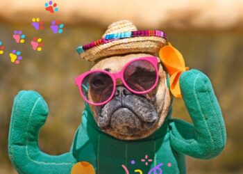 Chimbas celebra el Día del Animal con un gran carnaval de mascotas en el parque