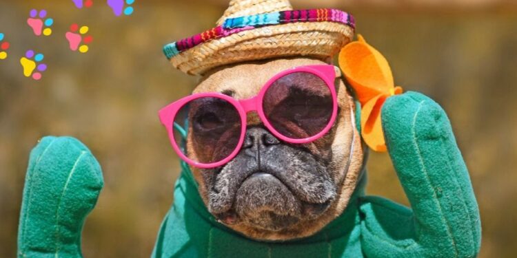 Chimbas celebra el Día del Animal con un gran carnaval de mascotas en el parque