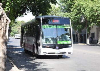 RedTulum amplía horarios y recorridos de colectivos por la Feria de las Artesanías 2026