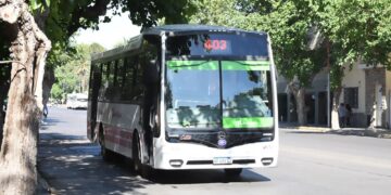 RedTulum amplía horarios y recorridos de colectivos por la Feria de las Artesanías 2026