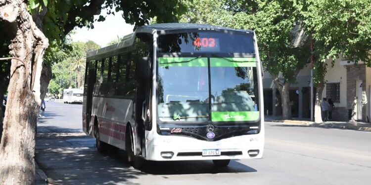 RedTulum amplía horarios y recorridos de colectivos por la Feria de las Artesanías 2026