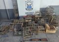 Rescataron 26 aves silvestres en cautiverio y detuvieron a ocho personas por tenencia ilegal