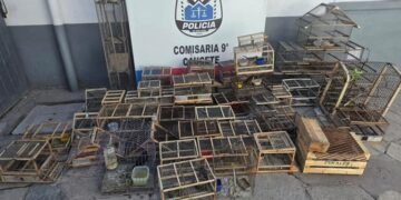 Rescataron 26 aves silvestres en cautiverio y detuvieron a ocho personas por tenencia ilegal