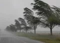 Alerta por vientos de más de 90 km/h: en qué zona impactarán las fuertes ráfagas