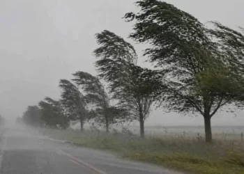 Alerta por vientos de más de 90 km/h: en qué zona impactarán las fuertes ráfagas
