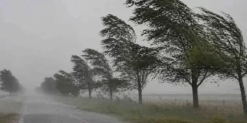 Alerta por vientos de más de 90 km/h: en qué zona impactarán las fuertes ráfagas