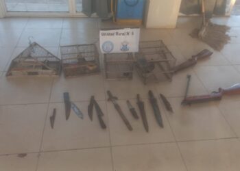 Pocito: secuestraron armas, droga y animales silvestres