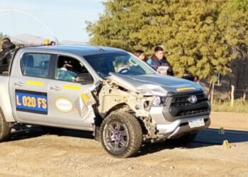 Ruta 40: una camioneta de servicios mineros chocó contra un caballo