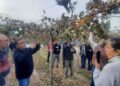 San Martín participó de una jornada de capacitación para fortalecer la vitivinicultura regional