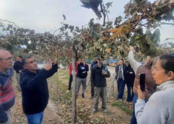 San Martín participó de una jornada de capacitación para fortalecer la vitivinicultura regional