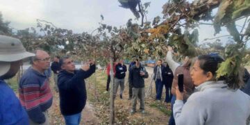 San Martín participó de una jornada de capacitación para fortalecer la vitivinicultura regional