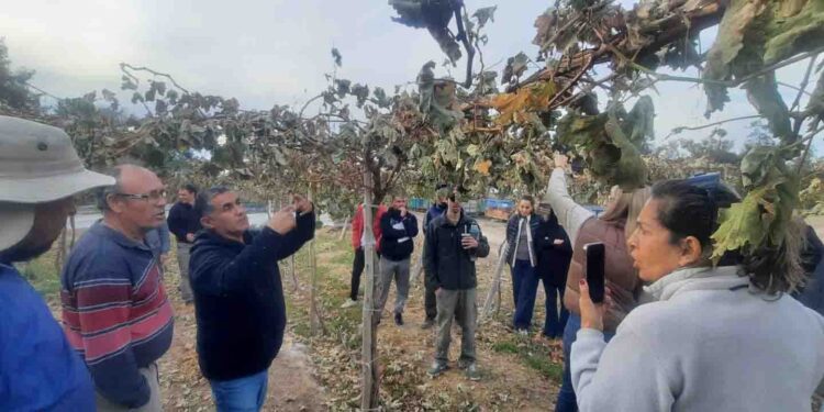 San Martín participó de una jornada de capacitación para fortalecer la vitivinicultura regional