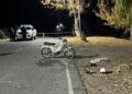 Motociclista murió tras chocar contra un árbol