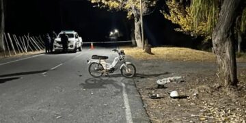 Motociclista murió tras chocar contra un árbol