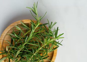 Energía positiva en casa: dónde colocar saquitos de romero según el Feng Shui para atraer paz