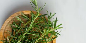 Energía positiva en casa: dónde colocar saquitos de romero según el Feng Shui para atraer paz