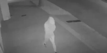 Entraron a una casa mientras su dueña dormía y quedaron filmados por una cámara