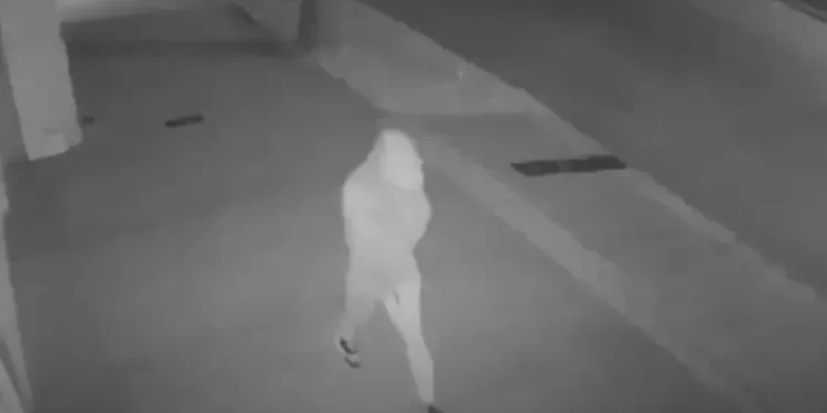 Entraron a una casa mientras su dueña dormía y quedaron filmados por una cámara