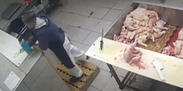 Horror en una carnicería: discutió con un compañero, le puso veneno para ratas en el termo