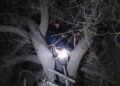 ¿Ave monstruosa o una bruja?: El episodio que dejó a un perro arriba de un árbol en San Juan