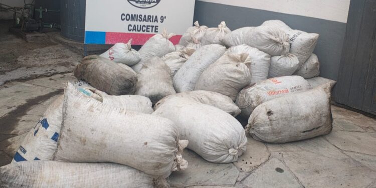 Allanaban por una balacera en Caucete y encontraron toneladas de pasas de dudosa procedencia