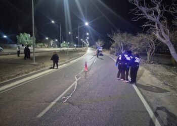 Tragedia en Rivadavia: un motociclista murió tras impactar violentamente contra un árbol