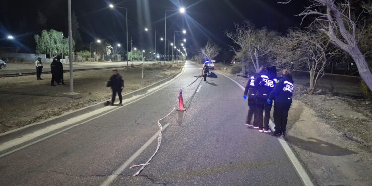 Tragedia en Rivadavia: un motociclista murió tras impactar violentamente contra un árbol