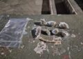 Rescatan 40 aves silvestres en Pocito