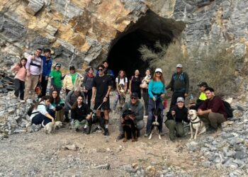 “Huellas en Movimiento”: exitosa jornada de senderismo con mascotas en San Martín