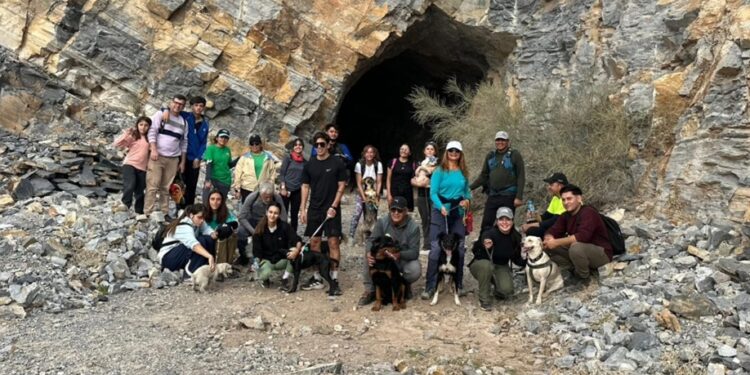 “Huellas en Movimiento”: exitosa jornada de senderismo con mascotas en San Martín