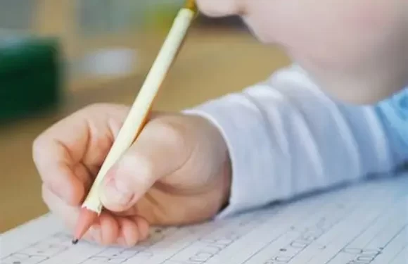 Albardón lanzó el concurso literario “Ensamblando la Argentina” para alumnos de sexto grado