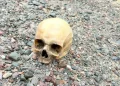 Encontraron un cráneo humano en el Dique Punta Negra