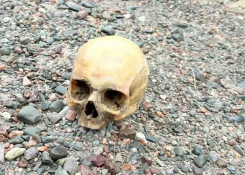Encontraron un cráneo humano en el Dique Punta Negra
