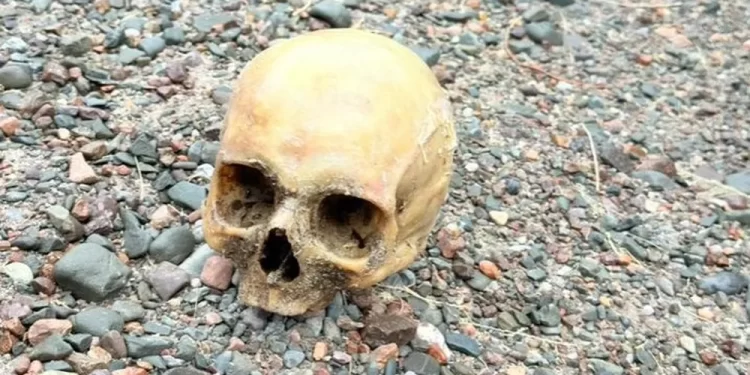 Encontraron un cráneo humano en el Dique Punta Negra
