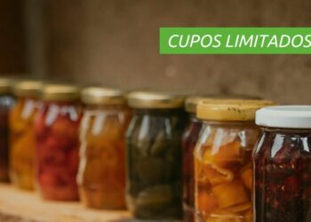 Chimbas lanza curso gratuito de elaboración y conservación de productos regionales