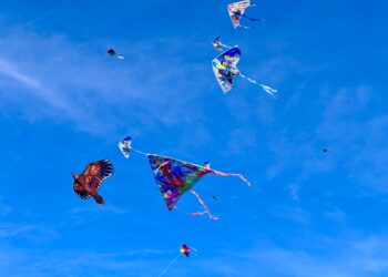 El Festival del Barrilete llenó de color y alegría el cielo de San Martín