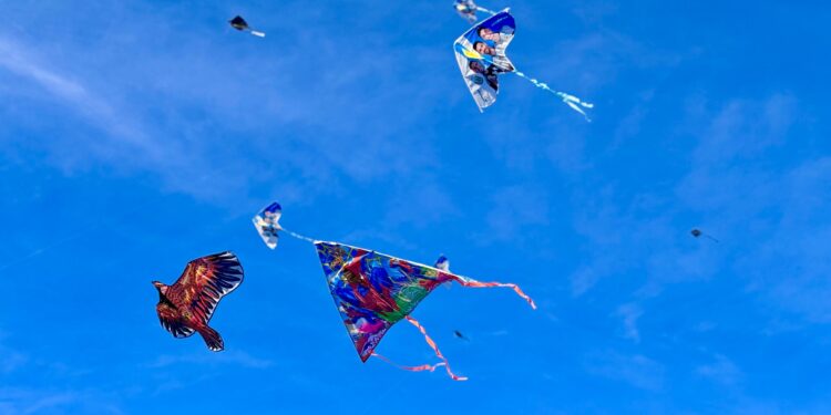 El Festival del Barrilete llenó de color y alegría el cielo de San Martín