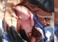 Rescataron con vida a un bebé recién nacido que había sido abandonado en un descampado