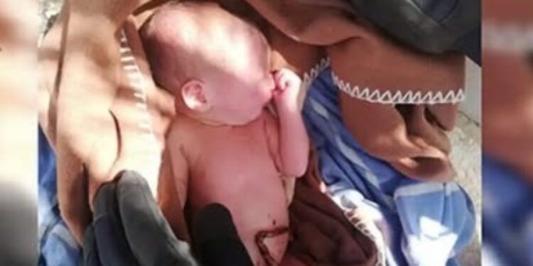 Rescataron con vida a un bebé recién nacido que había sido abandonado en un descampado
