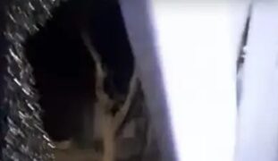 Apedrearon a un colectivo de la RedTulum en Caucete
