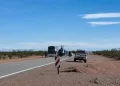 Foto gentileza