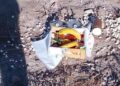 ¿Ritual o ofrenda? Cajón con licores y frutas sorprende en banquina de Caucete
