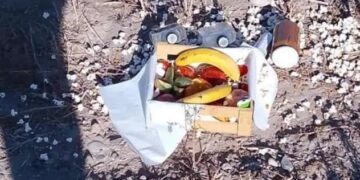 ¿Ritual o ofrenda? Cajón con licores y frutas sorprende en banquina de Caucete