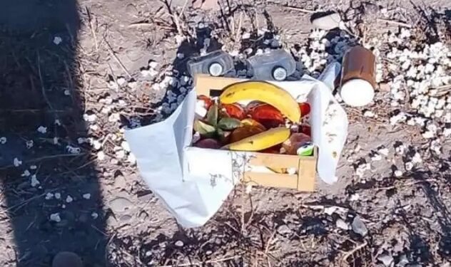 ¿Ritual o ofrenda? Cajón con licores y frutas sorprende en banquina de Caucete