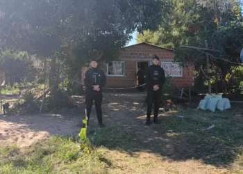 Encontraron muerto a un nene de 8 años y sospechan que su madre lo asesinó