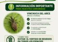 Alerta en San Martín: delimitaron una zona por la presencia de “vinchucas del arce”