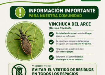 Alerta en San Martín: delimitaron una zona por la presencia de “vinchucas del arce”
