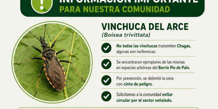 Alerta en San Martín: delimitaron una zona por la presencia de “vinchucas del arce”