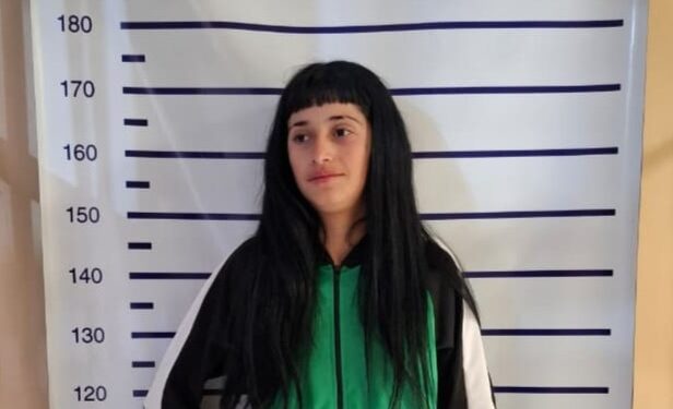Ataque a piedrazos en el Barrio Algarrobo Verde: dos mujeres terminaron aprehendidas