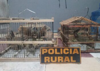 La Policía de San Juan recuperó dos motos robadas durante operativos en Rawson y Rivadavia